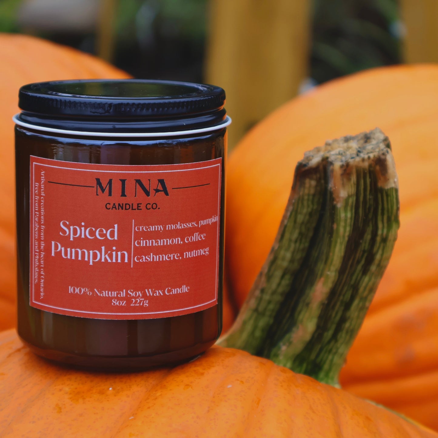 Fall Seasonal Bundle