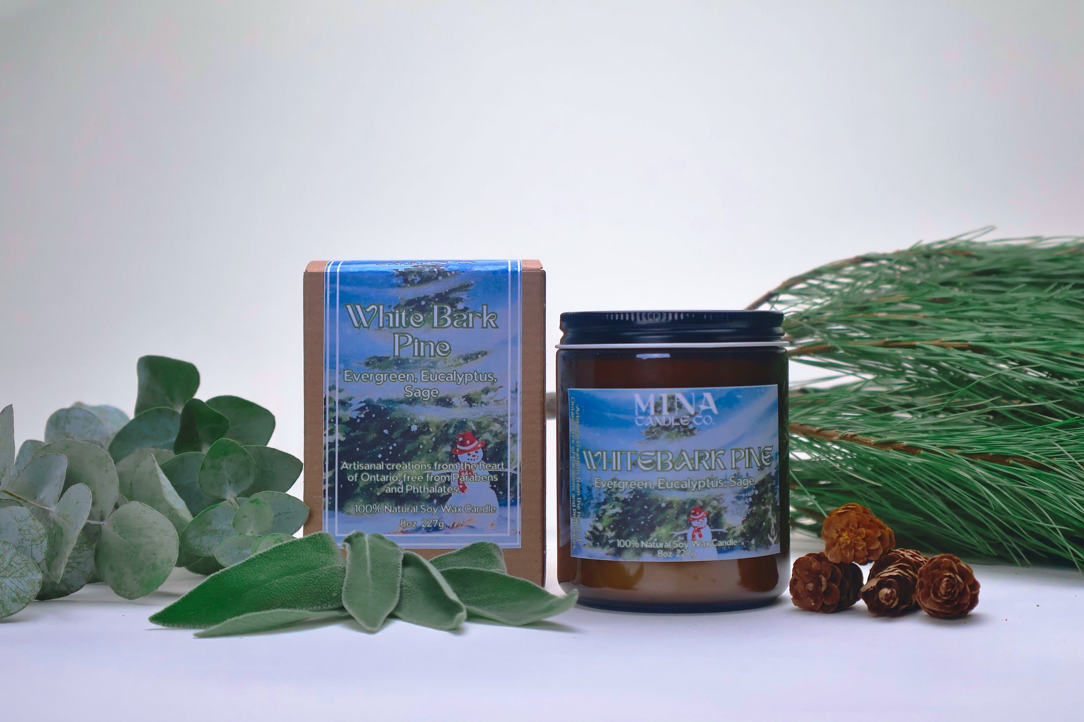White Bark Pine | Wood Wick (New Name: Northern Pines)