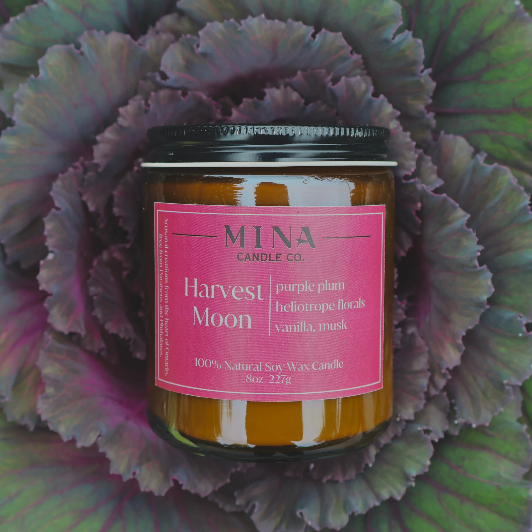 Harvest Moon