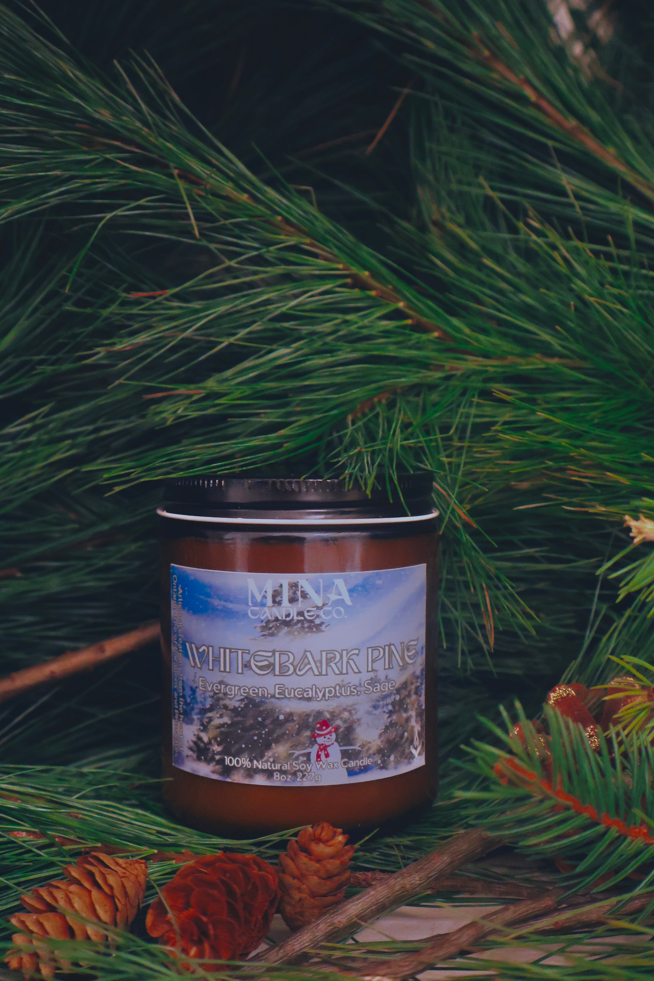 White Bark Pine | Wood Wick (New Name: Northern Pines)