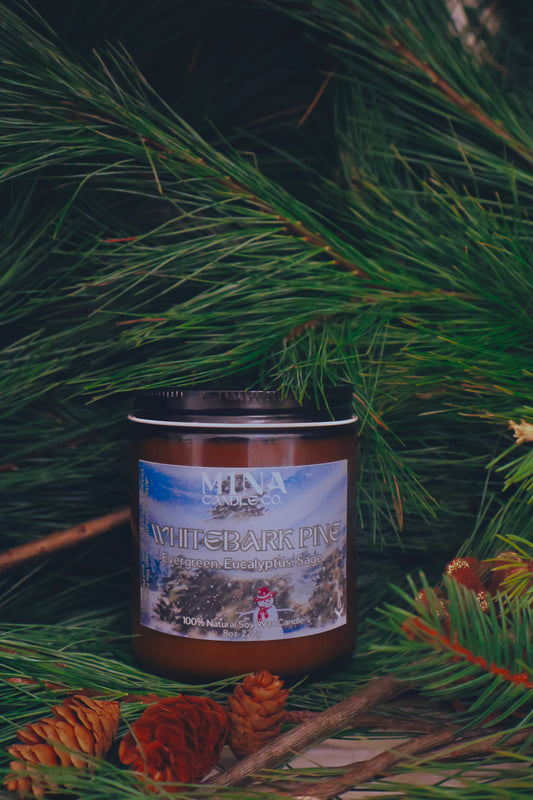White Bark Pine | Wood Wick (New Name: Northern Pines)