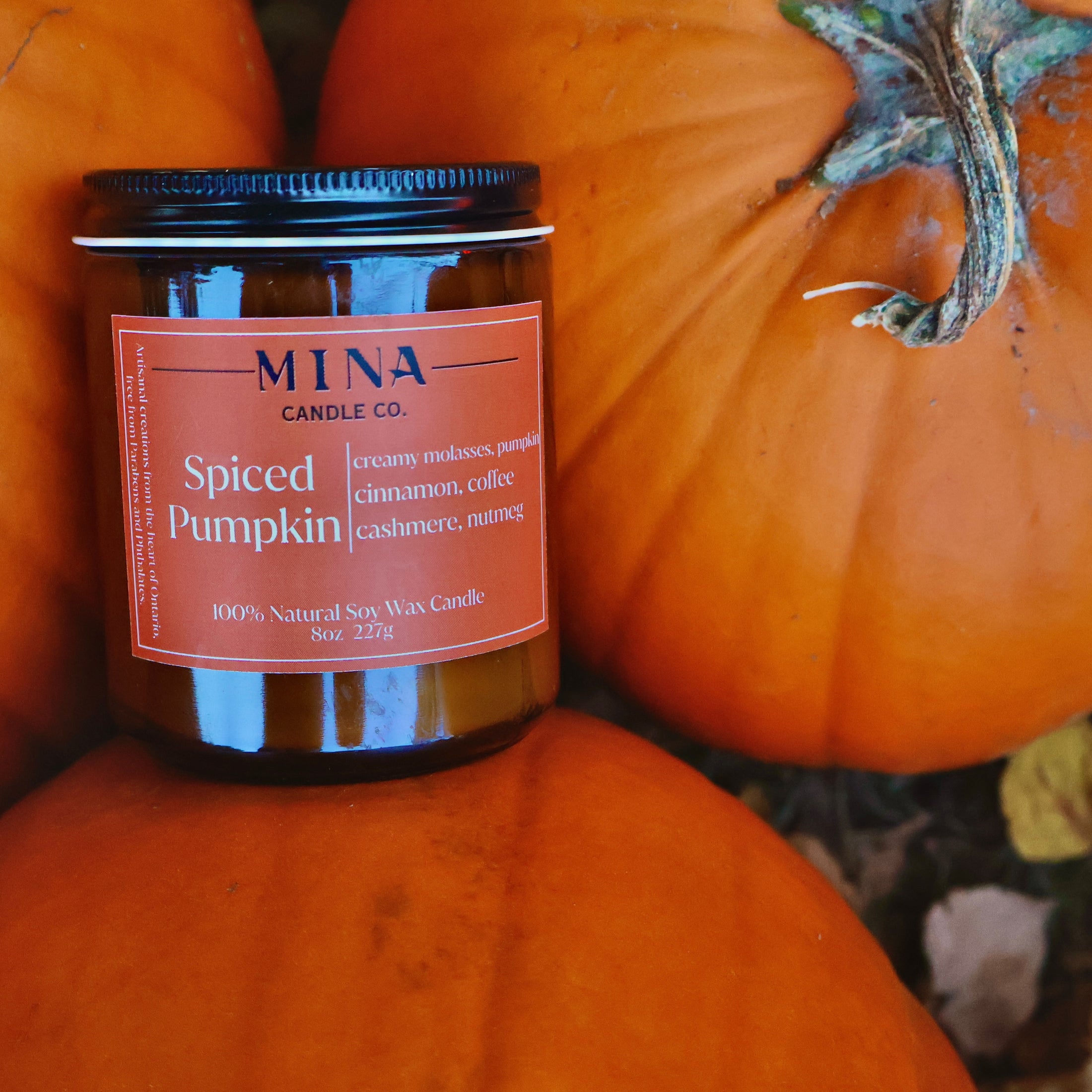 Spiced Pumpkin