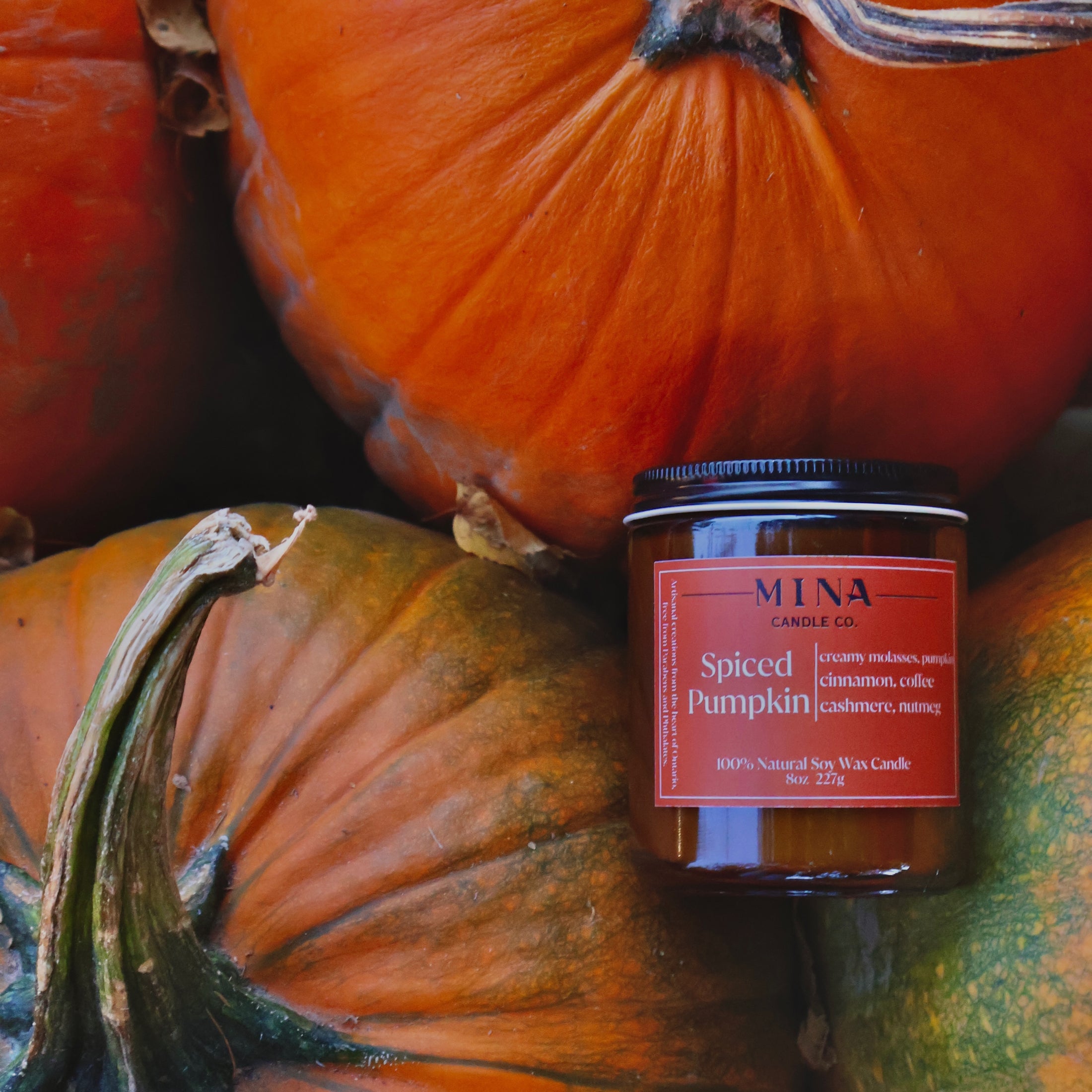 Spiced Pumpkin